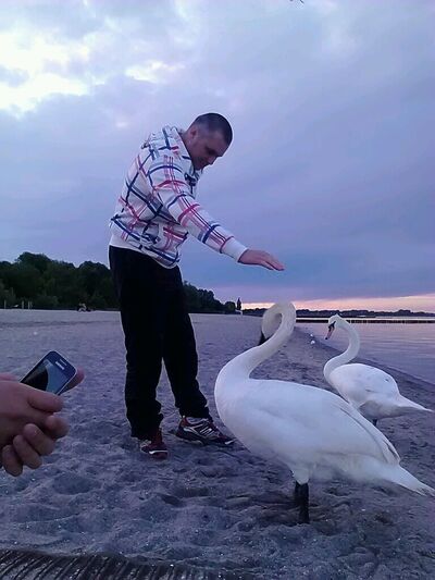   ,   Serghei, 49 ,   ,   