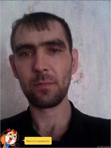  12036581  , 41 ,    