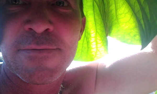  ,   Dimon, 48 ,   ,   , c 