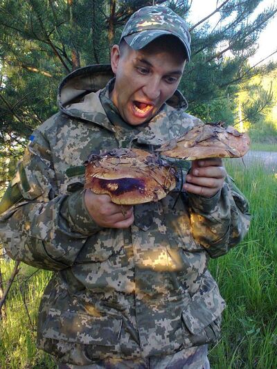  ,   Dester, 42 ,   ,   , c 