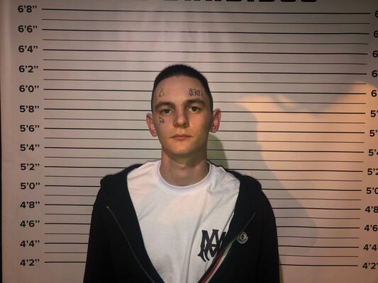  -,   , 23 ,   ,   