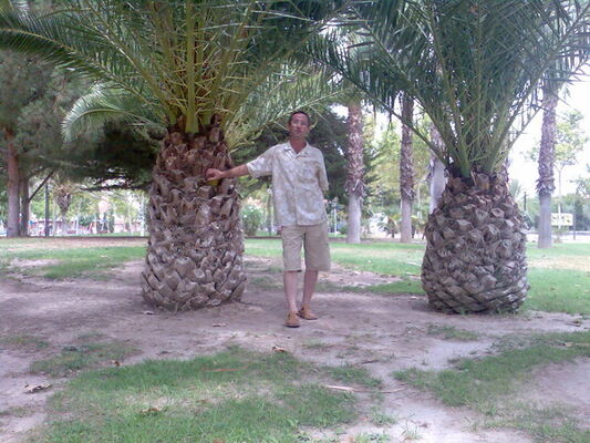  ,   Grigoriy, 56 ,   ,   , c 