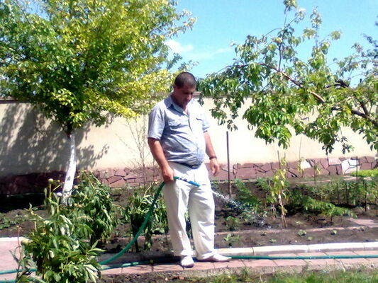  ,   , 53 ,   