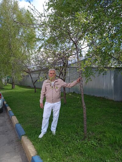  ,   , 60 ,   ,   