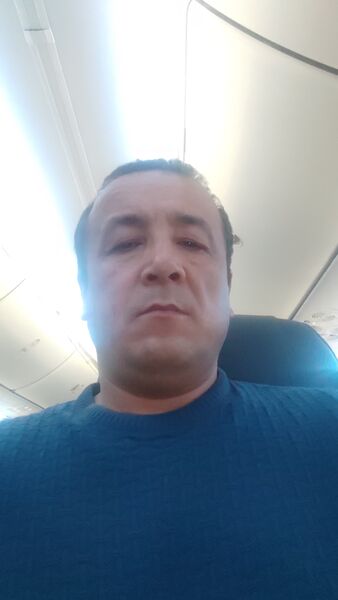 -,   , 44 ,   ,   