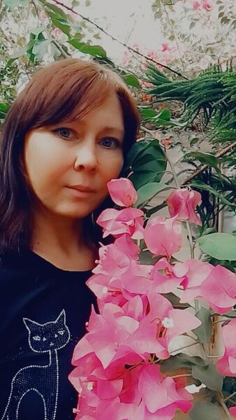  ,   , 40 ,   ,   