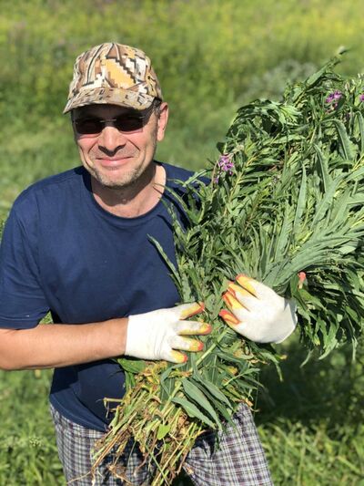  ,   A, 56 ,   ,   , c 