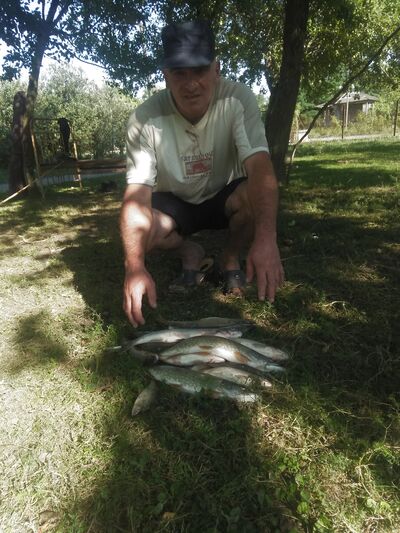  ,   , 57 ,   ,   
