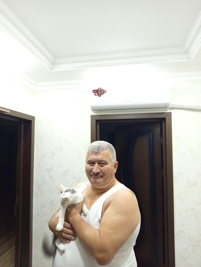  ,   , 53 ,   ,   