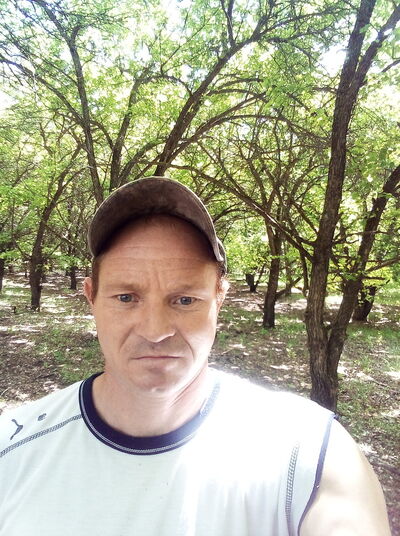  -,   , 41 ,   ,   , c 