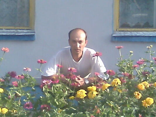  ,   , 49 ,   ,   