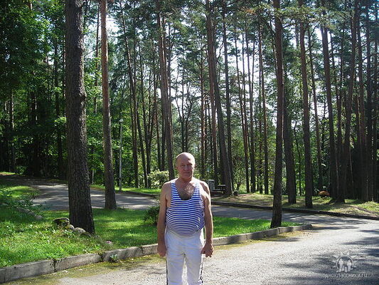  ,   vovc, 75 ,   c 