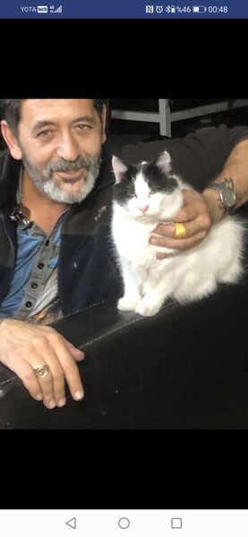  ,   , 45 ,   ,   