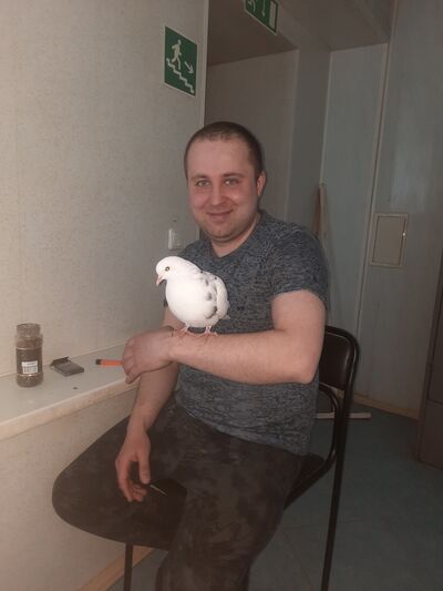  ,   , 34 ,   c 