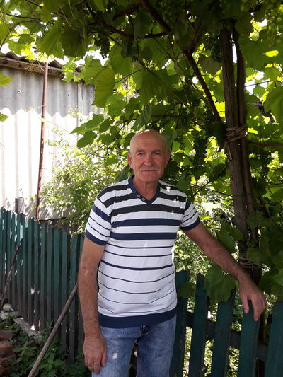  ,   , 65 ,   ,   