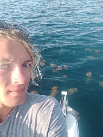  Preveza,   Greg, 24 ,   ,   