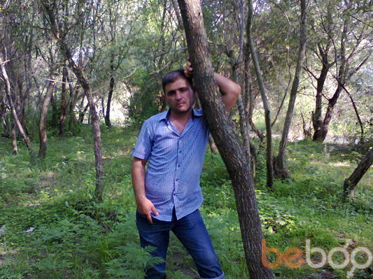  3528251  Vaqif, 50 ,    