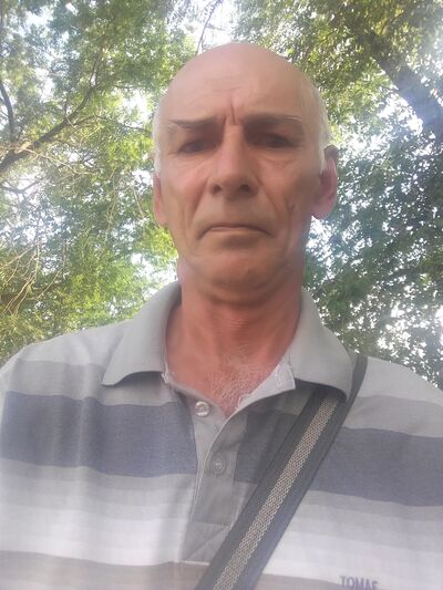  ,   , 62 ,   ,   