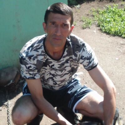  ,   , 51 ,   ,   , c 