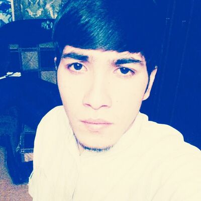  ,   89690426924, 31 ,   