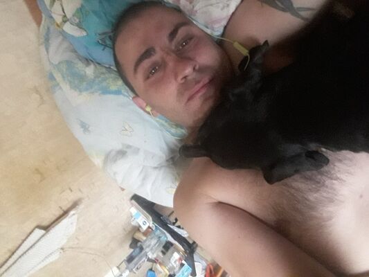  ,   , 41 ,   