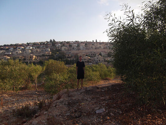  Karmi'el,   David, 40 ,     , c 