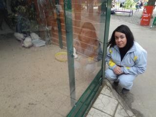 ���������� �������, ���� ������� ������, 36 ���, ������������ ��� ������, ����� � ���������, c�������� ���������