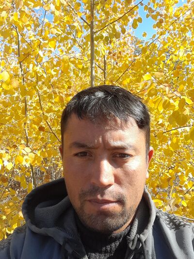  ,   , 38 ,   ,   