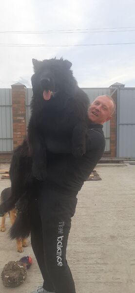  ,   Oleg, 35 ,   ,   