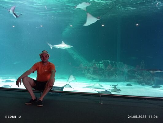  ,   Bruno, 43 ,   ,   