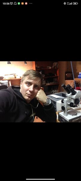  ,   Vladimir, 36 ,   ,   , c , 