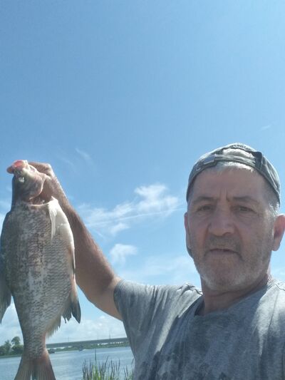  ,   , 59 ,   ,   