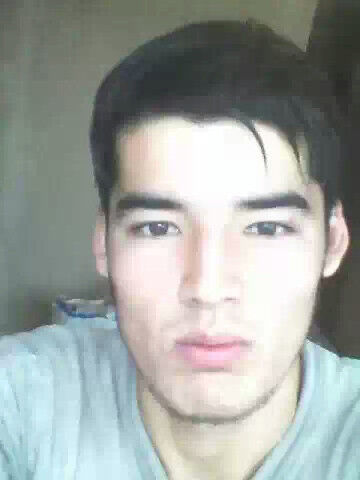  8624401  , 29 ,    -