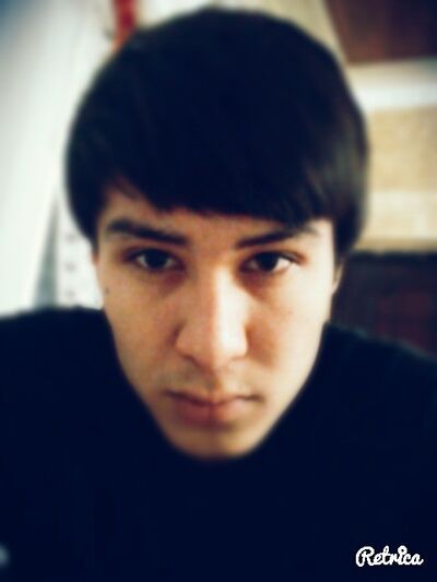  ,   Amir, 31 ,   ,   , c 