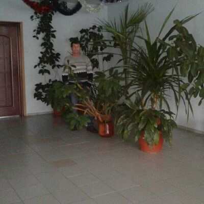  ,   , 50 ,   ,   , c , 