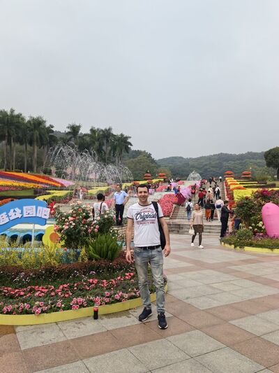  ,   , 41 ,   ,   