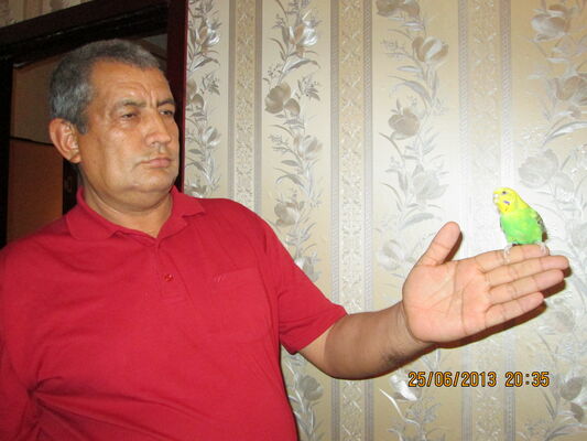  ,   , 64 ,   ,   , c , 