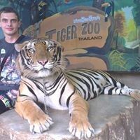  ,   Dmitry, 35 ,   ,   , c 