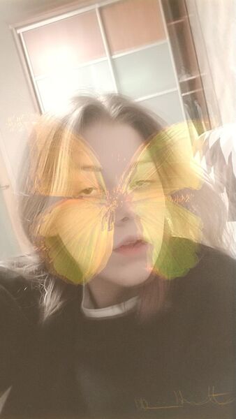  ,   , 20 ,  