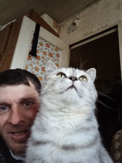  ,   , 44 ,   ,   