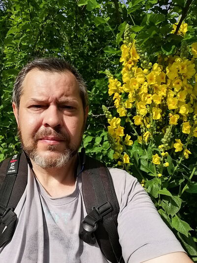 ,   , 54 ,   ,   