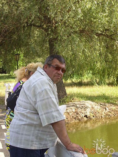  ,   Borzii, 62 ,   