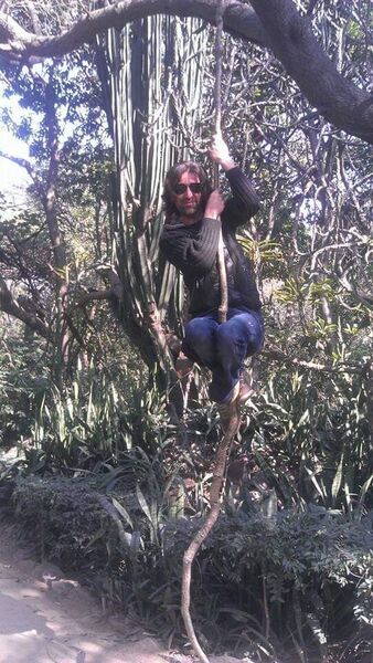  ,   Mustafa, 44 ,   ,   , c 