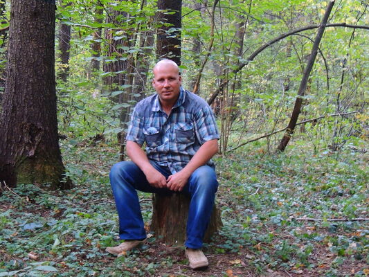  ,   , 51 ,  