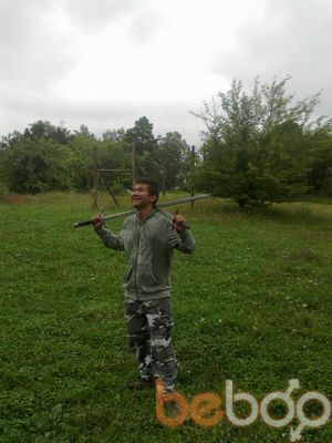  ,   , 33 ,  