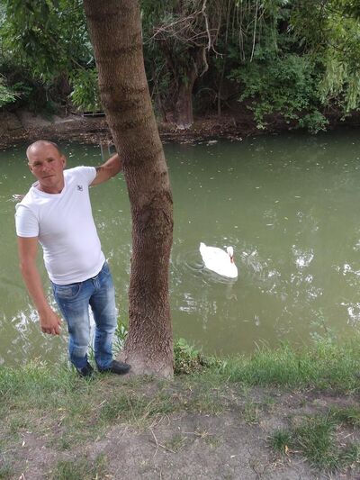  ,   , 38 ,   c 