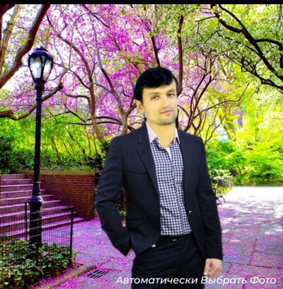  ,   , 38 ,   ,   