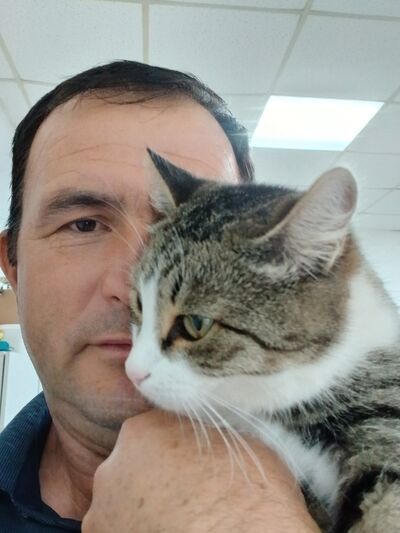  ,   , 47 ,   ,   
