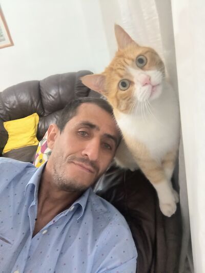  ,   , 42 ,   ,   