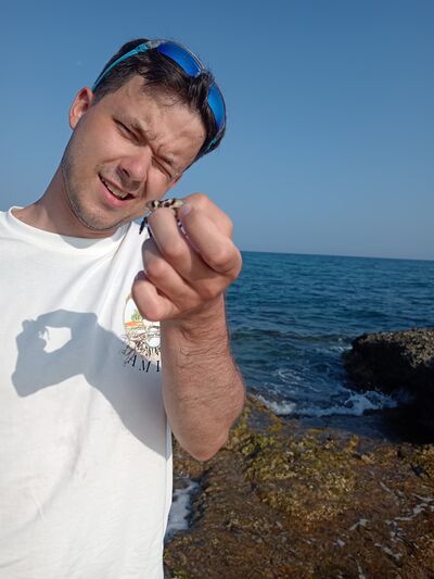  ,   , 26 ,   ,   